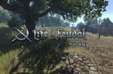 Life is Feudal: MMO