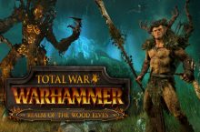 Total War: WARHAMMER – Realm of The Wood Elves (DLC)