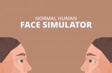 Normal Human Face Simulator