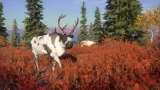 theHunter: Call of the Wild – Yukon Valley DLC