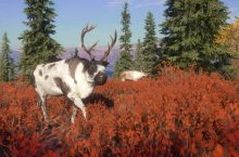 theHunter: Call of the Wild – Yukon Valley DLC
