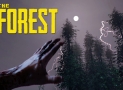 The Forest